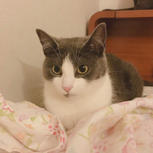 Meet your Posher, Hannah